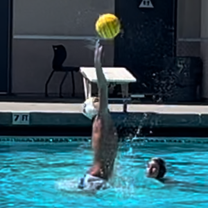 Fundraising Page: Ren Fujikake